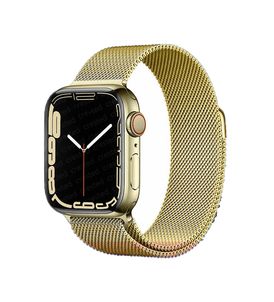 Apple Watch Elegance Milanese