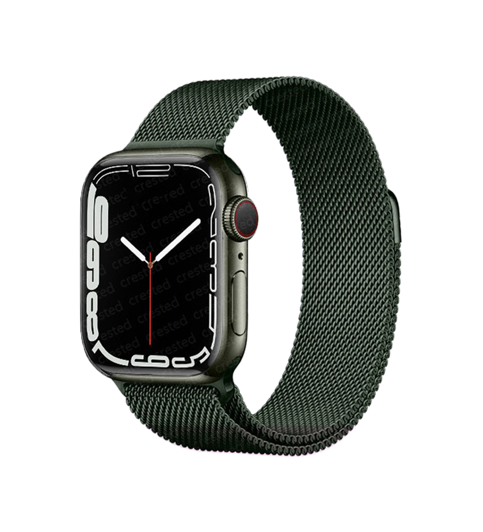 Apple Watch Elegance Milanese