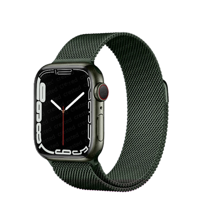 Apple Watch Elegance Milanese