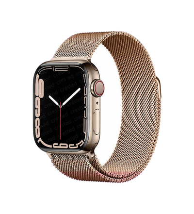 Apple Watch Elegance Milanese